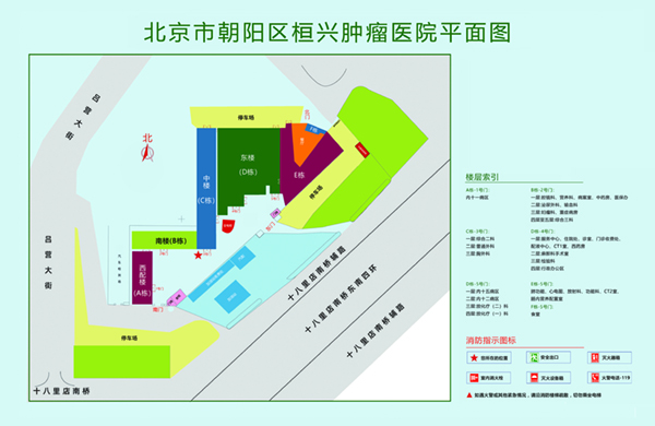 外网操逼网站北京市朝阳区桓兴肿瘤医院平面图